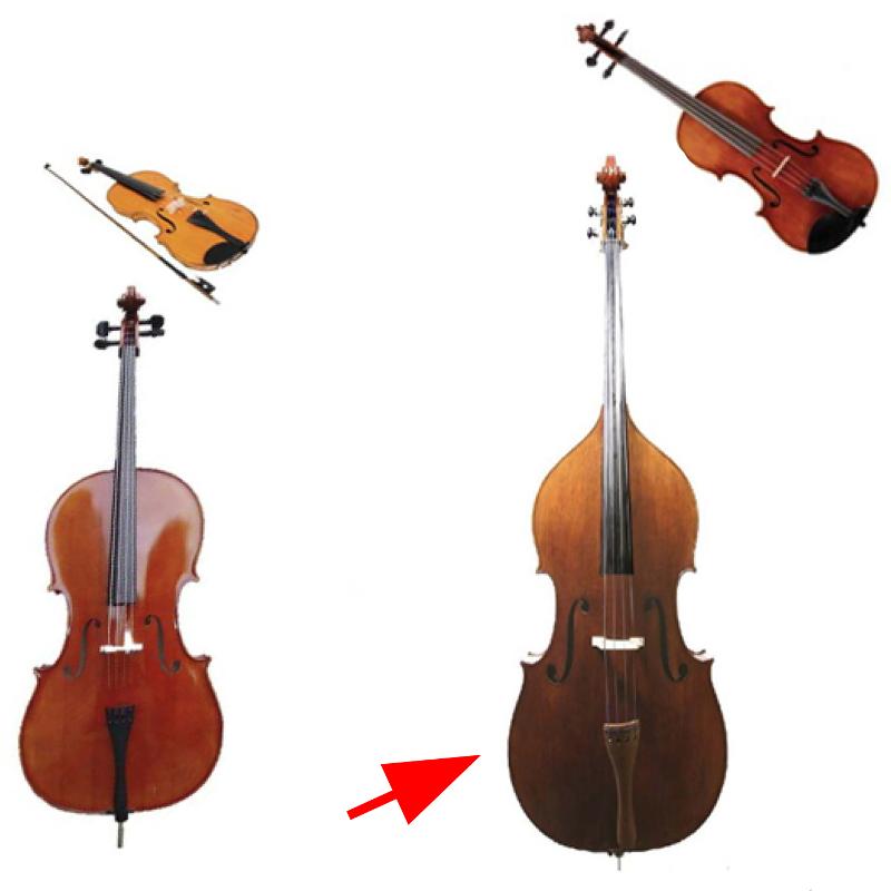 Print String Instruments Flash Cards flashcards | Easy Notecards