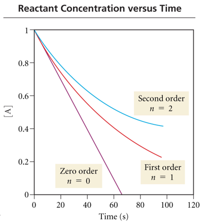 Chem 132 Chapter 13 Flashcards | Easy Notecards