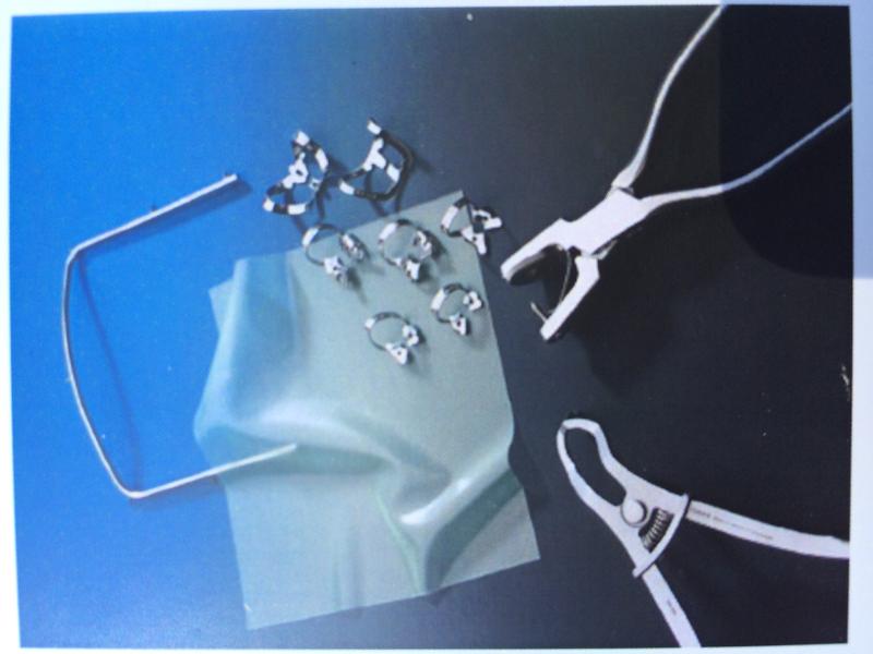 Print Chapter 2 dental assisting flashcards Easy Notecards