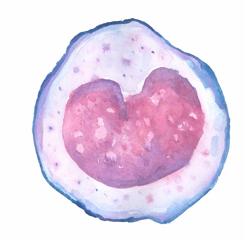 Cardiopulmonary (Exam 2) Flashcards | Easy Notecards