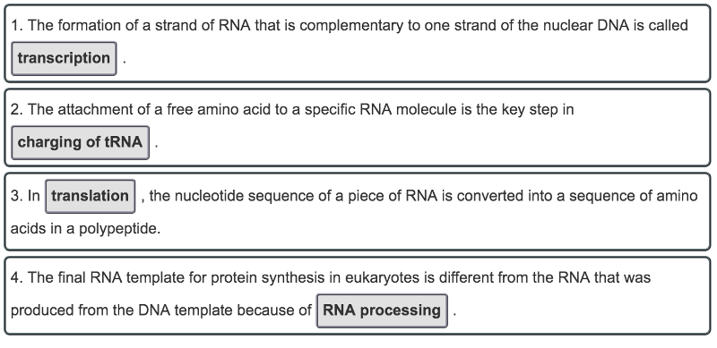 Is MRNA synthesized in translation or transcription?