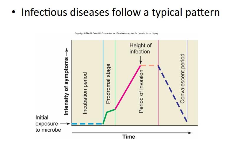 Microbiology Exam 3 Flashcards Easy Notecards