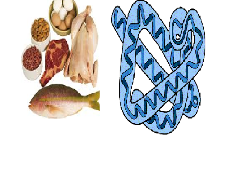 Print Biochemistry Vocab flashcards Easy Notecards