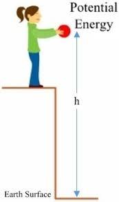 Print Chapter 5 Science Review Cards flashcards | Easy Notecards