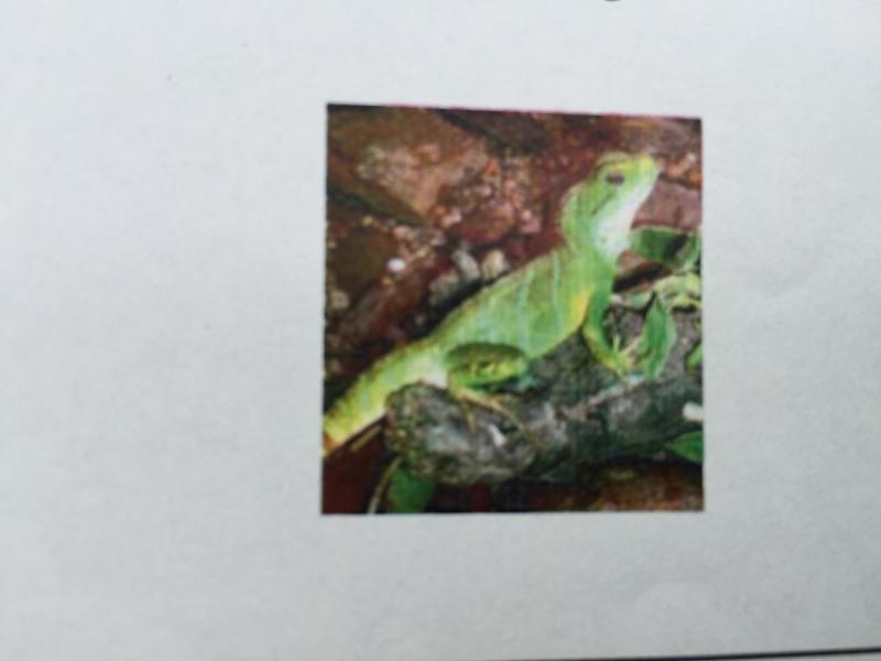 Topics Highlights Exam 1 Flashcards | Easy Notecards