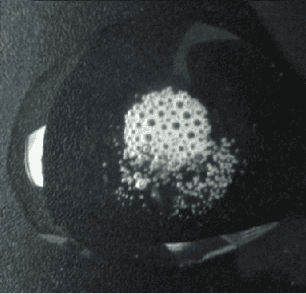 Carbon copy cloner 4 review ulsduse