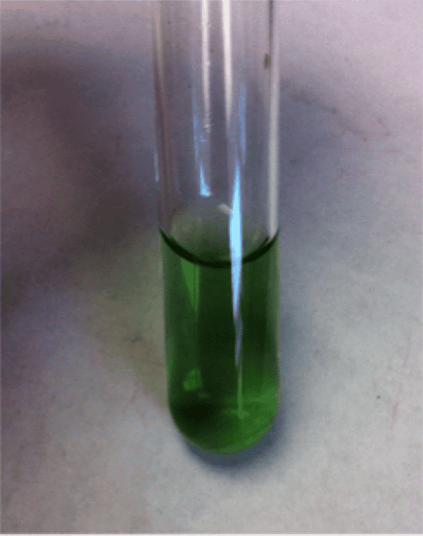 blood alpha 2 test Easy  Lab Flashcards Review Exam  Notecards