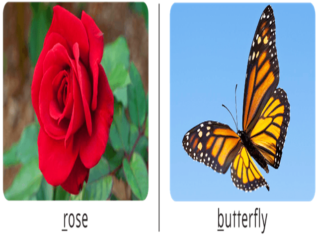 card image