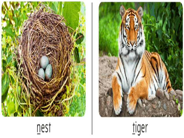 card image