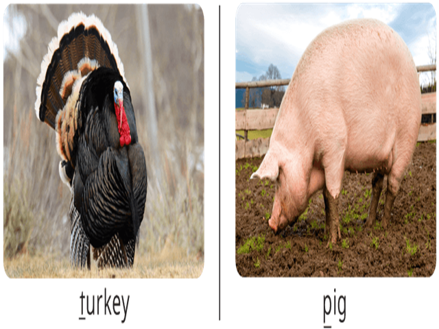card image