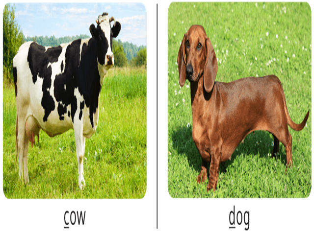 card image