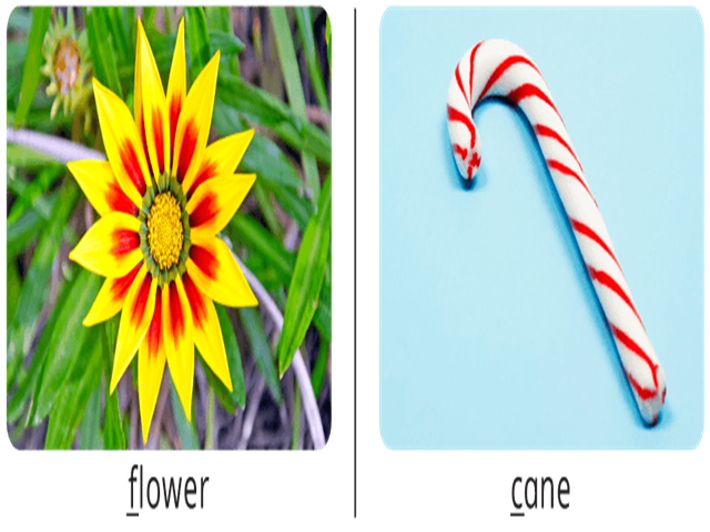 card image