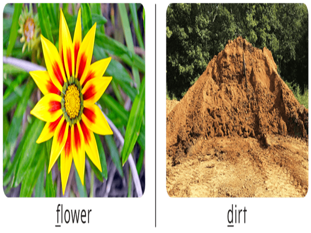 card image