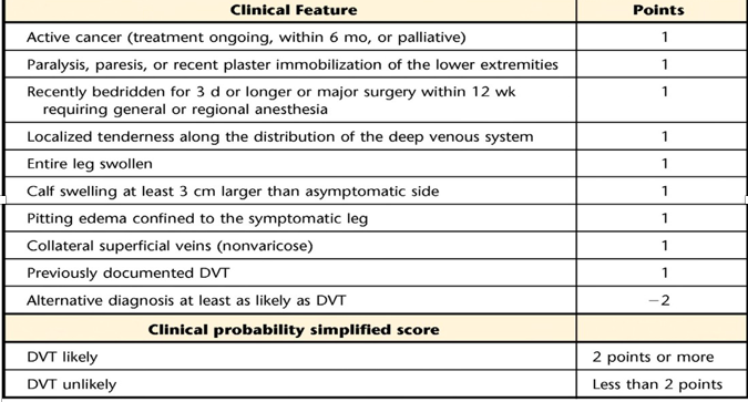 MSK Diag Mgt 7220 Exam I - Lectures I, II, III Flashcards | Easy Notecards