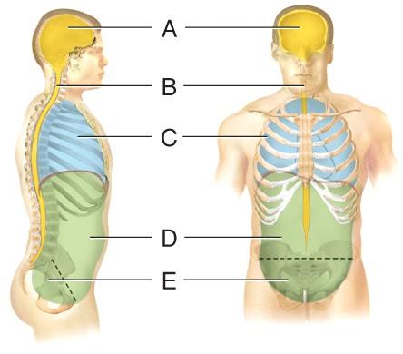 BIO Lab Ch 1-5 Test 1 Flashcards | Easy Notecards