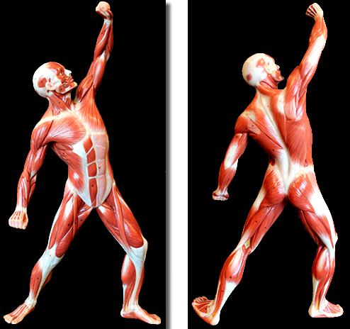 Exam 1 Review Flashcards | Easy Notecards