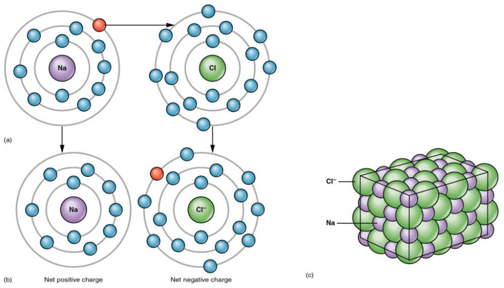 Atoms and Chemical Bonds Flashcards Easy Notecards
