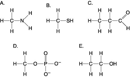 Print AP Bio flashcards | Easy Notecards