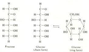 Organic Chemistry Flashcards | Easy Notecards