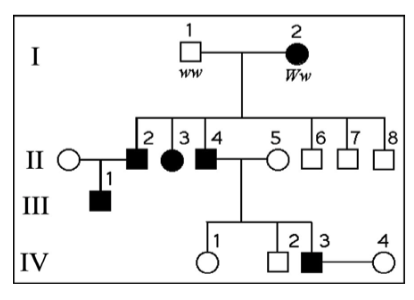 Polydactyly Pedigree Chart