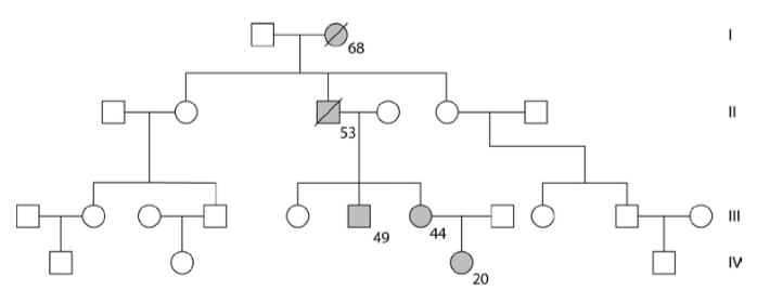 Pedigree Chart Shaded Circle Would Represent