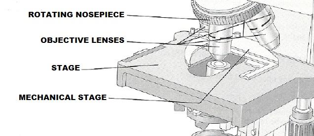 the microscope lens may be cleaned with