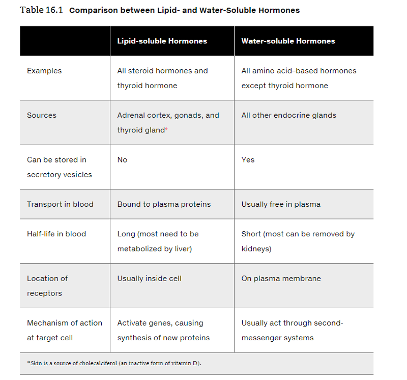 Hormone Half Life Chart