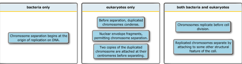 mastering biology chapter 12 homework answers