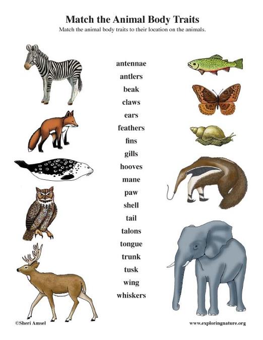 Science Unit 2, Lesson 1 Flashcards | Easy Notecards