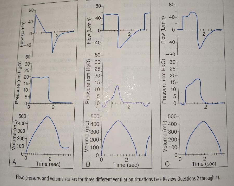 Print Mechanical Ventilation Chapter 9 (Graphics) flashcards | Easy