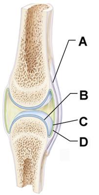 Chapter 7 Flashcards | Easy Notecards