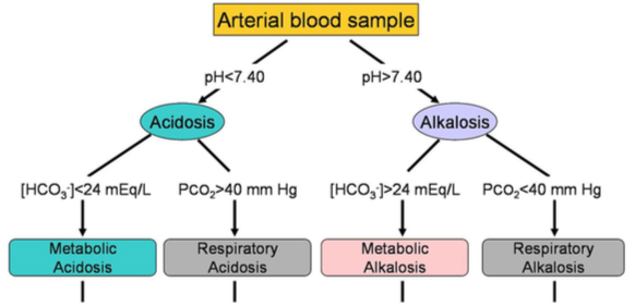 Respiratory Acidosis Alkalosis Chart