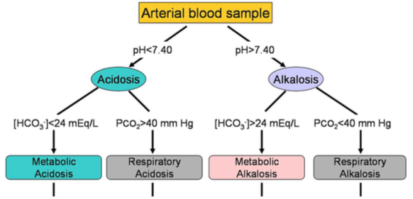 Respiratory Metabolic Acidosis Alkalosis Chart