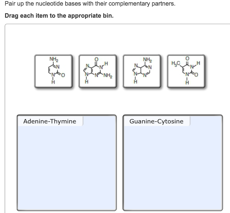 Print Exam 3 Chs 5 Dna Structure And Replication Machinery 16 The Molecular Basis Of Inheritance Flashcards Easy Notecards