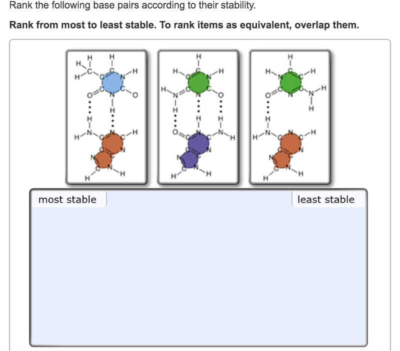 Print Exam 3 Chs 5 Dna Structure And Replication Machinery 16 The Molecular Basis Of Inheritance Flashcards Easy Notecards