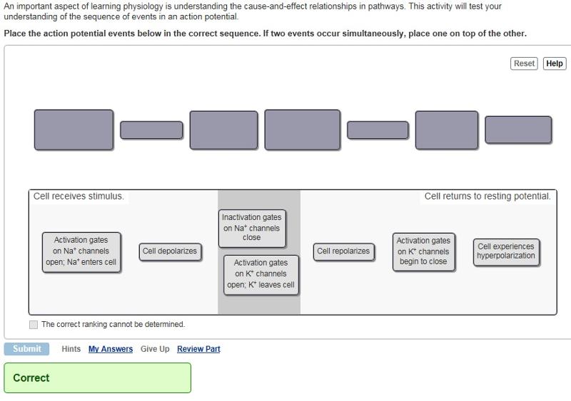 The Five Pillars of your Climate Action Blueprint